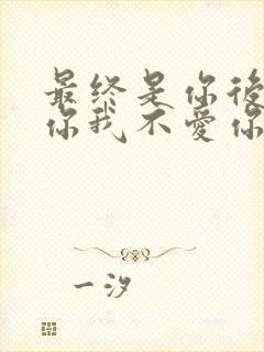 最终是你后来是你我不爱你谁爱你