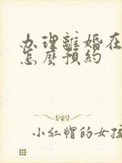 办理离婚在网上怎么预约