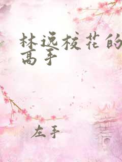 林逸校花的贴身高手