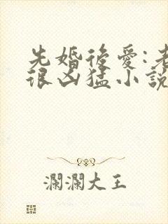 先婚后爱:老公很凶猛小说免费阅读