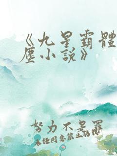 《九星霸体诀龙尘小说》