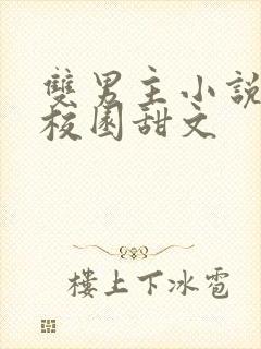 双男主小说推荐校园甜文