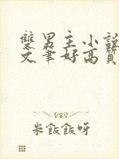 双男主小说推荐文笔好高质量完结