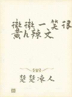 微微一笑很倾城黄h辣文