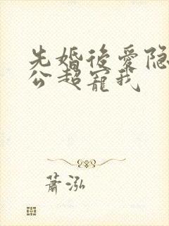 先婚后爱隐婚老公超宠我