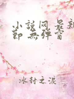 小说网 最新章节 无弹窗