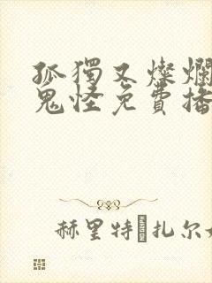 孤独又灿烂的神鬼怪免费播放