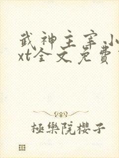 武神主宰小说txt全文免费下载