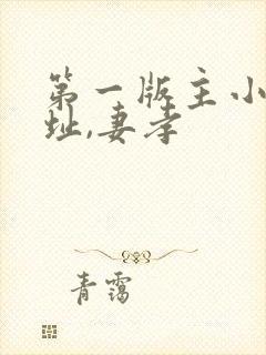 第一版主小说网址,妻孝