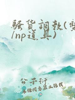 骚货调教(双性/np道具)