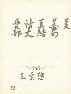 爱情真善美第二部大结局