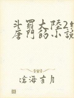 斗罗大陆2绝世唐门的小说