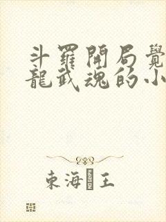 斗罗开局觉醒蛟龙武魂的小说