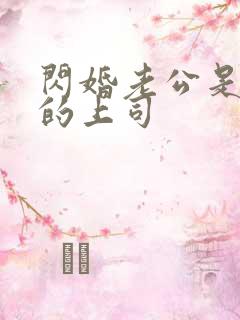 闪婚老公是自己的上司