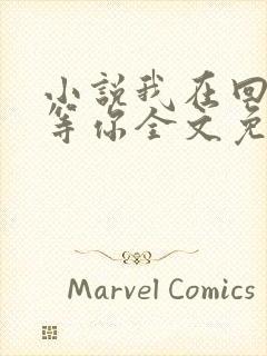 小说我在回忆里等你全文免费阅读