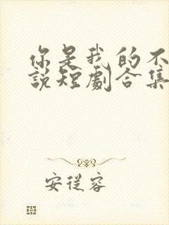 你是我的不可言说短剧合集