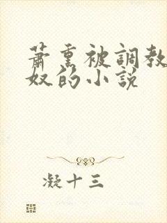 萧熏被调教成肉奴的小说