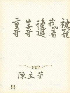 重生后我被三个哥哥追着宠全文免费