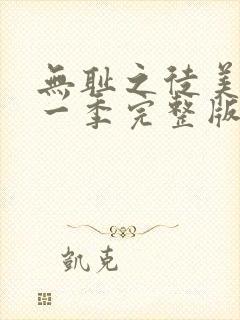 无耻之徒美版第一季完整版未删减