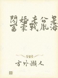 闪婚老公是千亿富豪战胤海彤