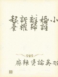 起诉离婚小孩抚养权归谁