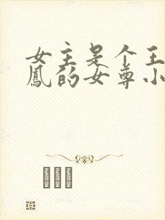 女主是个王爷姓凤的女尊小说