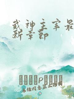 武神主宰最新更新章节