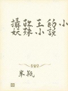 摄政王的小闲妻妖殊小说