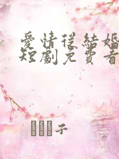 爱情从结婚开始短剧免费看