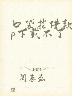 口袋花借款app下载不了