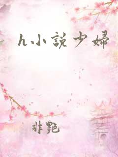 h小说少妇