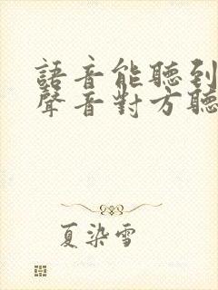 语音能听到别人声音对方听不到声音