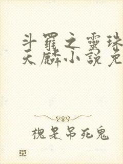 斗罗之灵珠神剑天麟小说免费完整版txt