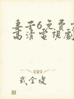 妻子6免费完整高清电视剧