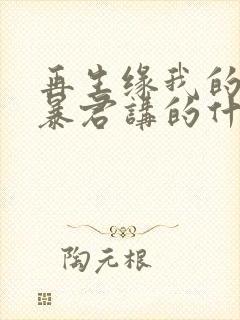 再生缘我的温柔暴君讲的什么