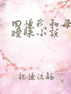 回忆我和母亲的暧昧小说
