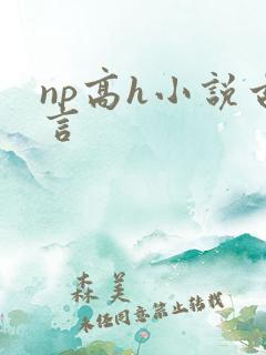 np高h小说古言