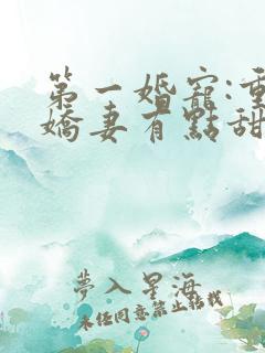第一婚宠:重生娇妻有点甜