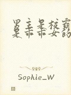 男主是校霸女主是乖乖女的校园宠文