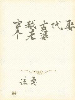 穿越古代娶了八个老婆