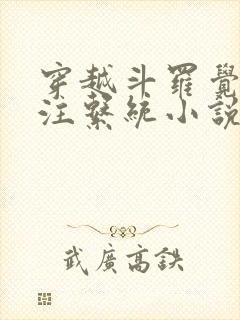 穿越斗罗觉醒灌注系统小说