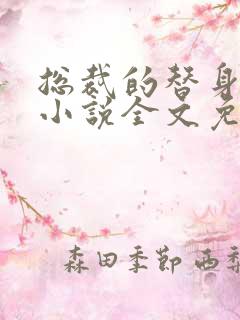 总裁的替身前妻小说全文免费阅读