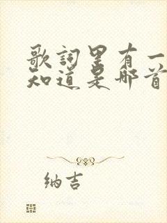 歌词里有一句不知道是哪首歌