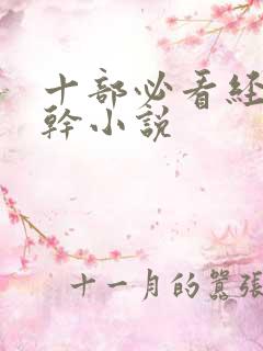 十部必看经典高干小说