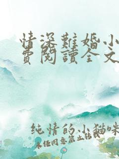 情深难婚小说免费阅读全文