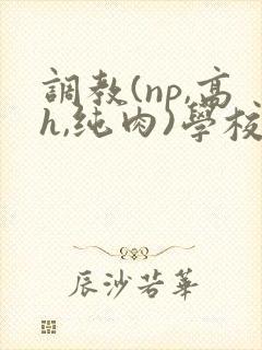 调教(np,高h,纯肉)学校