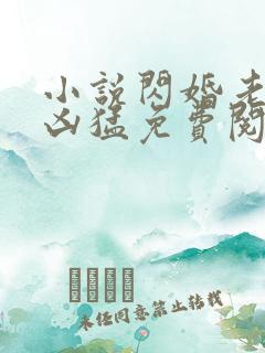 小说闪婚老公太凶猛免费阅读全文