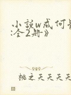 小说w成何体统:全2册》
