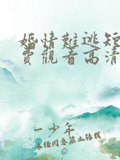 婚情难逃短剧免费观看高清