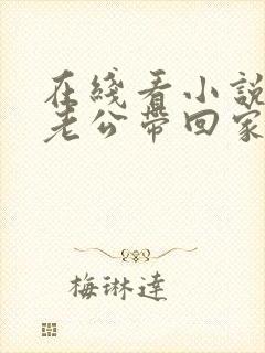 在线看小说国民老公带回家